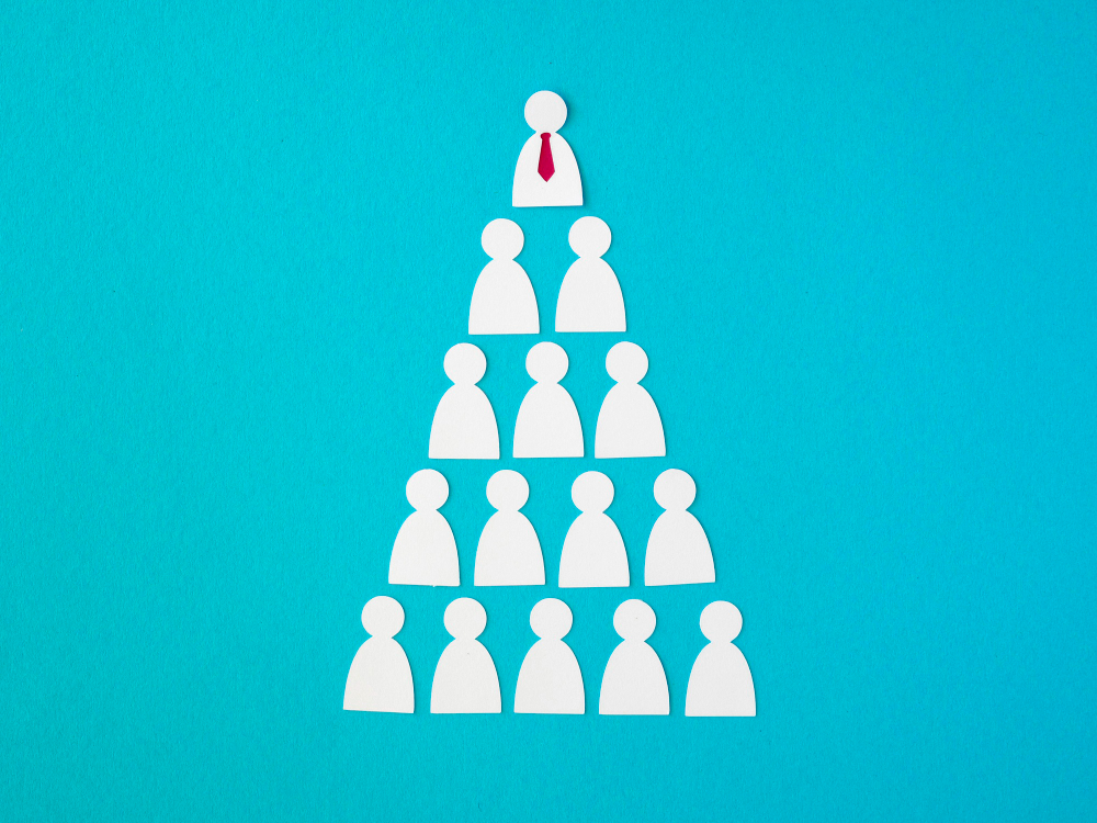 Understanding Hierarchy Culture: A Key to Organizational Success for HR